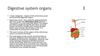 Digestive system organs 3
• 2 main categories: Organs of the alimentary canal
and Accessory digestive organs.
• Alimentary canal: Also called the gastrointestinal
(GI) tract or gut, the alimentary canal (aliment- =
“to nourish”) is a one-way tube about 7.62 meters
(25 feet) in length during life and closer to 10.67
meters (35 feet) in length when measured after
death, once smooth muscle tone is lost. It is
responsible for propulsion of the food.
• The main function of the organs of the alimentary
canal is to nourish the body.
• This tube begins at the mouth and terminates at
the anus. Between those two points, the canal is
modified as the pharynx, esophagus, stomach, and
small and large intestines to fit the functional
needs of the body. Both the mouth and anus are
open to the external environment; thus, food and
wastes within the alimentary canal are technically
considered to be outside the body.
 