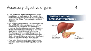 Accessory digestive organs 4
• Each accessory digestive organ aids in the
breakdown of food. Within the mouth, the
teeth and tongue begin mechanical digestion,
whereas the salivary glands begin chemical
digestion.
• Once food products enter the small intestine,
the gallbladder, liver, and pancreas release
secretions—such as bile and enzymes—
essential for digestion to continue. Together,
these are called accessory organs because
they sprout from the lining cells of the
developing gut (mucosa) and augment its
function; indeed, you could not live without
their vital contributions, and many significant
diseases result from their malfunction.
• Even after development is complete, they
maintain a connection to the gut by way of
ducts.
 