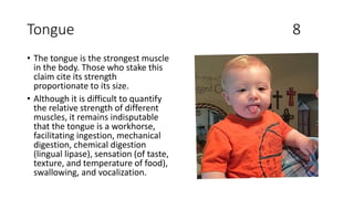 Tongue 8
• The tongue is the strongest muscle
in the body. Those who stake this
claim cite its strength
proportionate to its size.
• Although it is difficult to quantify
the relative strength of different
muscles, it remains indisputable
that the tongue is a workhorse,
facilitating ingestion, mechanical
digestion, chemical digestion
(lingual lipase), sensation (of taste,
texture, and temperature of food),
swallowing, and vocalization.
 