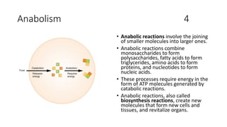 Anabolism 4
• Anabolic reactions involve the joining
of smaller molecules into larger ones.
• Anabolic reactions combine
monosaccharides to form
polysaccharides, fatty acids to form
triglycerides, amino acids to form
proteins, and nucleotides to form
nucleic acids.
• These processes require energy in the
form of ATP molecules generated by
catabolic reactions.
• Anabolic reactions, also called
biosynthesis reactions, create new
molecules that form new cells and
tissues, and revitalize organs.
 