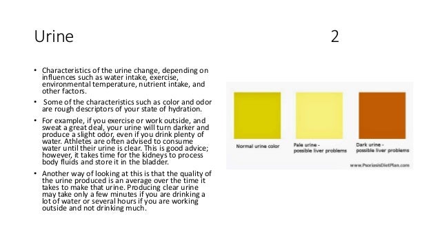 What are some things that can make your urine change color?