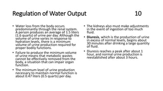 Regulation of Water Output 10
• Water loss from the body occurs
predominantly through the renal system.
A person produces an average of 1.5 liters
(1.6 quarts) of urine per day. Although the
volume of urine varies in response to
hydration levels, there is a minimum
volume of urine production required for
proper bodily functions.
• Failure to produce the minimum volume
of urine means that metabolic wastes
cannot be effectively removed from the
body, a situation that can impair organ
function.
• The minimum level of urine production
necessary to maintain normal function is
about 0.47 liters (0.5 quarts) per day.
• The kidneys also must make adjustments
in the event of ingestion of too much
fluid.
• Diuresis, which is the production of urine
in excess of normal levels, begins about
30 minutes after drinking a large quantity
of fluid.
• Diuresis reaches a peak after about 1
hour, and normal urine production is
reestablished after about 3 hours.
 