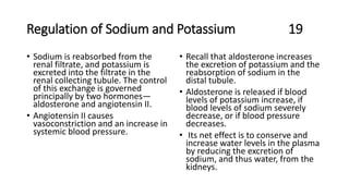 Regulation of Sodium and Potassium 19
• Sodium is reabsorbed from the
renal filtrate, and potassium is
excreted into the filtrate in the
renal collecting tubule. The control
of this exchange is governed
principally by two hormones—
aldosterone and angiotensin II.
• Angiotensin II causes
vasoconstriction and an increase in
systemic blood pressure.
• Recall that aldosterone increases
the excretion of potassium and the
reabsorption of sodium in the
distal tubule.
• Aldosterone is released if blood
levels of potassium increase, if
blood levels of sodium severely
decrease, or if blood pressure
decreases.
• Its net effect is to conserve and
increase water levels in the plasma
by reducing the excretion of
sodium, and thus water, from the
kidneys.
 