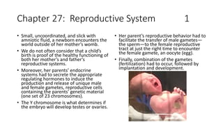 Chapter 27: Reproductive System 1
• Small, uncoordinated, and slick with
amniotic fluid, a newborn encounters the
world outside of her mother’s womb.
• We do not often consider that a child’s
birth is proof of the healthy functioning of
both her mother’s and father’s
reproductive systems.
• Moreover, her parents’ endocrine
systems had to secrete the appropriate
regulating hormones to induce the
production and release of unique male
and female gametes, reproductive cells
containing the parents’ genetic material
(one set of 23 chromosomes).
• The Y chromosome is what determines if
the embryo will develop testes or ovaries.
• Her parent’s reproductive behavior had to
facilitate the transfer of male gametes—
the sperm—to the female reproductive
tract at just the right time to encounter
the female gamete, an oocyte (egg).
• Finally, combination of the gametes
(fertilization) had to occur, followed by
implantation and development.
 