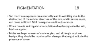 PIGMENTATION 18
• Too much sun exposure can eventually lead to wrinkling due to the
destruction of the cellular structure of the skin, and in severe cases,
can cause sufficient DNA damage to result in skin cancer.
• When there is an irregular accumulation of melanocytes in the skin,
freckles appear.
• Moles are larger masses of melanocytes, and although most are
benign, they should be monitored for changes that might indicate the
presence of cancer
 