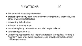 FUNCTIONS 40
• The skin and accessory structures:
• protecting the body from invasion by microorganisms, chemicals, and
other environmental factors
• preventing dehydration
• acting as a sensory organ
• modulating body temperature and electrolyte balance
• synthesizing vitamin D.
• Underlying hypodermis has important roles in storing fats, forming a
“cushion” over underlying structures, and providing insulation from
cold temperatures
 