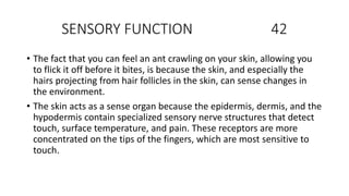 SENSORY FUNCTION 42
• The fact that you can feel an ant crawling on your skin, allowing you
to flick it off before it bites, is because the skin, and especially the
hairs projecting from hair follicles in the skin, can sense changes in
the environment.
• The skin acts as a sense organ because the epidermis, dermis, and the
hypodermis contain specialized sensory nerve structures that detect
touch, surface temperature, and pain. These receptors are more
concentrated on the tips of the fingers, which are most sensitive to
touch.
 