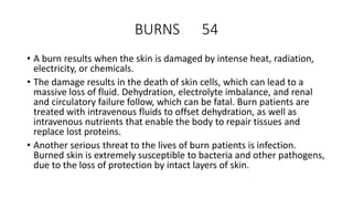 BURNS 54
• A burn results when the skin is damaged by intense heat, radiation,
electricity, or chemicals.
• The damage results in the death of skin cells, which can lead to a
massive loss of fluid. Dehydration, electrolyte imbalance, and renal
and circulatory failure follow, which can be fatal. Burn patients are
treated with intravenous fluids to offset dehydration, as well as
intravenous nutrients that enable the body to repair tissues and
replace lost proteins.
• Another serious threat to the lives of burn patients is infection.
Burned skin is extremely susceptible to bacteria and other pathogens,
due to the loss of protection by intact layers of skin.
 