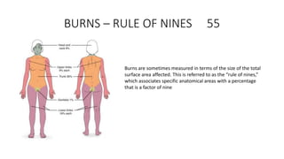 BURNS – RULE OF NINES 55
Burns are sometimes measured in terms of the size of the total
surface area affected. This is referred to as the “rule of nines,”
which associates specific anatomical areas with a percentage
that is a factor of nine
 