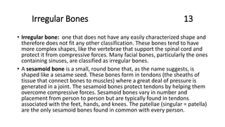Irregular Bones 13
• Irregular bone: one that does not have any easily characterized shape and
therefore does not fit any other classification. These bones tend to have
more complex shapes, like the vertebrae that support the spinal cord and
protect it from compressive forces. Many facial bones, particularly the ones
containing sinuses, are classified as irregular bones.
• A sesamoid bone is a small, round bone that, as the name suggests, is
shaped like a sesame seed. These bones form in tendons (the sheaths of
tissue that connect bones to muscles) where a great deal of pressure is
generated in a joint. The sesamoid bones protect tendons by helping them
overcome compressive forces. Sesamoid bones vary in number and
placement from person to person but are typically found in tendons
associated with the feet, hands, and knees. The patellae (singular = patella)
are the only sesamoid bones found in common with every person.
 