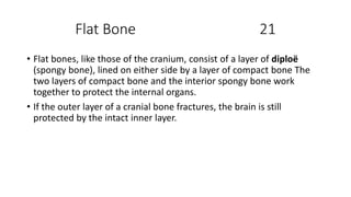 Flat Bone 21
• Flat bones, like those of the cranium, consist of a layer of diploë
(spongy bone), lined on either side by a layer of compact bone The
two layers of compact bone and the interior spongy bone work
together to protect the internal organs.
• If the outer layer of a cranial bone fractures, the brain is still
protected by the intact inner layer.
 
