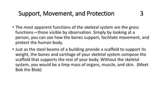 Support, Movement, and Protection 3
• The most apparent functions of the skeletal system are the gross
functions—those visible by observation. Simply by looking at a
person, you can see how the bones support, facilitate movement, and
protect the human body.
• Just as the steel beams of a building provide a scaffold to support its
weight, the bones and cartilage of your skeletal system compose the
scaffold that supports the rest of your body. Without the skeletal
system, you would be a limp mass of organs, muscle, and skin. (Meet
Bob the Blob)
 