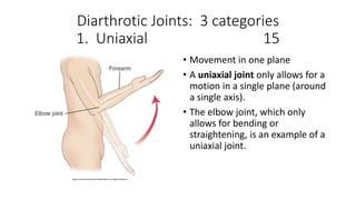 Diarthrotic Joints: 3 categories
1. Uniaxial 15
• Movement in one plane
• A uniaxial joint only allows for a
motion in a single plane (around
a single axis).
• The elbow joint, which only
allows for bending or
straightening, is an example of a
uniaxial joint.
 