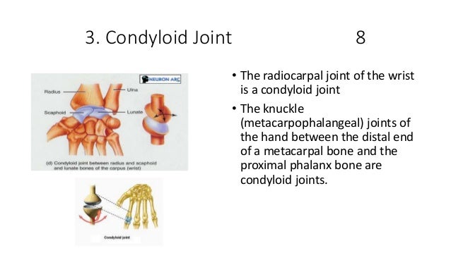 Basic ap chapter 9 powerpoint 2017
