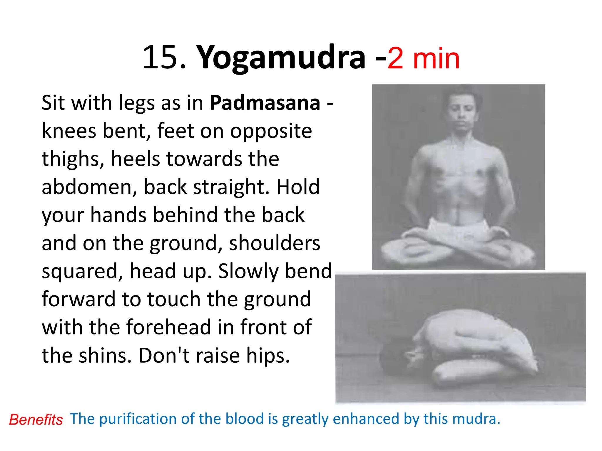 15. Yogamudra -2 min
Sit with legs as in Padmasana -
knees bent, feet on opposite
thighs, heels towards the
abdomen, back straight. Hold
your hands behind the back
and on the ground, shoulders
squared, head up. Slowly bend
forward to touch the ground
with the forehead in front of
the shins. Don't raise hips.
The purification of the blood is greatly enhanced by this mudra.
Benefits
 