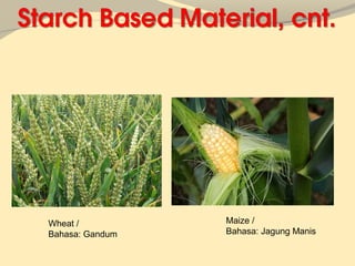 Wheat /          Maize /
Bahasa: Gandum   Bahasa: Jagung Manis
 