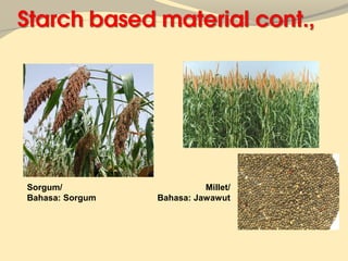 Sorgum/                    Millet/
Bahasa: Sorgum   Bahasa: Jawawut
 