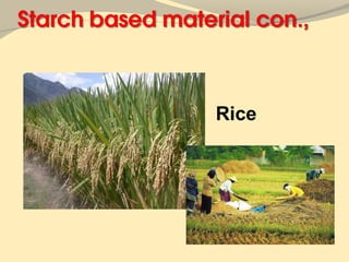 Rice
 