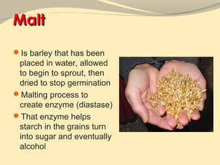 Malt
Is barley that has been
 placed in water, allowed
 to begin to sprout, then
 dried to stop germination
Malting process to
 create enzyme (diastase)
That enzyme helps
 starch in the grains turn
 into sugar and eventually
 alcohol
 