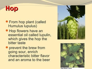 Hop
From hop plant (called
 Humulus lupulus)
Hop flowers have an
 essential oil called lupulin,
 which gives the hop the
 bitter taste
prevent the brew from
 going sour, enrich
 characteristic bitter flavor
 and an aroma to the beer
 