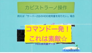 カピストラーノBasic