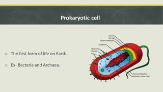 o The first form of life on Earth.
o Ex- Bacteria and Archaea.
Prokaryotic cell
 