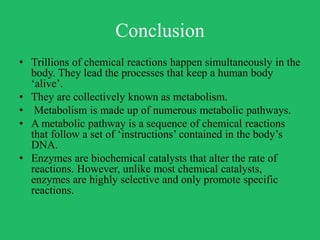 Basic biological reactions