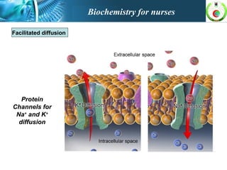 Facilitated diffusion
Protein
Channels for
Na+
and K+
diffusion
Biochemistry for nurses
 