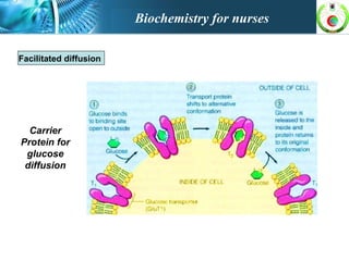 Facilitated diffusion
Carrier
Protein for
glucose
diffusion
Biochemistry for nurses
 