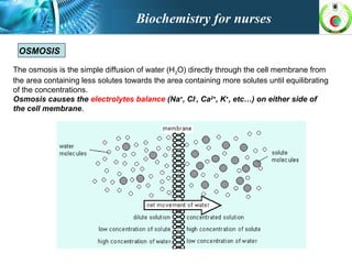 OSMOSIS
The osmosis is the simple diffusion of water (H2O) directly through the cell membrane from
the area containing less solutes towards the area containing more solutes until equilibrating
of the concentrations.
Osmosis causes the electrolytes balance (Na+
, Cl-
, Ca2+
, K+
, etc…) on either side of
the cell membrane.
Biochemistry for nurses
 