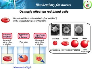 Osmosis effect on red blood cells
Biochemistry for nurses
 