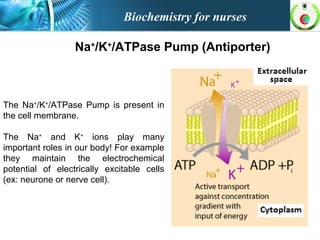 Na+
/K+
/ATPase Pump (Antiporter)
The Na+
/K+
/ATPase Pump is present in
the cell membrane.
The Na+
and K+
ions play many
important roles in our body! For example
they maintain the electrochemical
potential of electrically excitable cells
(ex: neurone or nerve cell).
Biochemistry for nurses
 