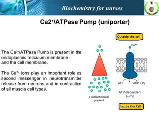 Ca2+
/ATPase Pump (uniporter)
The Ca2+
/ATPase Pump is present in the
endoplasmic reticulum membrane
and the cell membrane.
The Ca2+
ions play an important role as
second messenger in neurotransmitter
release from neurons and in contraction
of all muscle cell types.
Biochemistry for nurses
 