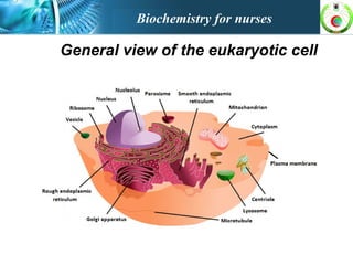 General view of the eukaryotic cell
Biochemistry for nurses
 