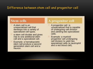 Difference between stem cell and progenitor cell
 