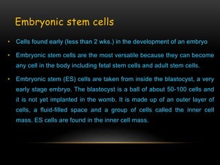 Embryonic stem cells
• Cells found early (less than 2 wks.) in the development of an embryo
• Embryonic stem cells are the most versatile because they can become
any cell in the body including fetal stem cells and adult stem cells.
• Embryonic stem (ES) cells are taken from inside the blastocyst, a very
early stage embryo. The blastocyst is a ball of about 50-100 cells and
it is not yet implanted in the womb. It is made up of an outer layer of
cells, a fluid-filled space and a group of cells called the inner cell
mass. ES cells are found in the inner cell mass.
 