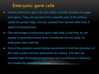 Embryonic germ cells
 Human embryonic germ cell (EG cells) normally develop into eggs
and sperm. They are derived from a specific part of the embryo
called the gonad ridge, and are isolated from fetuses older than 8
weeks of development.
 One advantage of embryonic germ cells cells is that they do not
appear to generate tumors when transferred into the body, as
embryonic stem cells do.
 One of the greatest issues facing researchers is that the derivation of
EG cells results from the destruction of a foetus. EG cells are
isolated from terminated pregnancies and no embryos or foetuses
are created for research purposes.
 