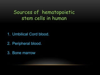 Sources of hematopoietic
stem cells in human
1. Umbilical Cord blood.
2. Peripheral blood.
3. Bone marrow
 