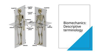 Comprehensive Overview of Basic Biomechanics and Human Movement | PPTX