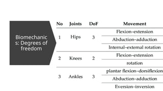 Comprehensive Overview of Basic Biomechanics and Human Movement | PPTX