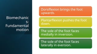 Comprehensive Overview of Basic Biomechanics and Human Movement | PPTX