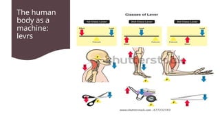 Comprehensive Overview of Basic Biomechanics and Human Movement | PPTX