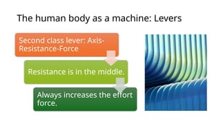 Comprehensive Overview of Basic Biomechanics and Human Movement | PPTX