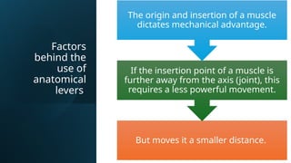 Comprehensive Overview of Basic Biomechanics and Human Movement | PPTX