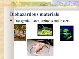 Biohazardous materials
 Transgenic Plants, Animals and Insects
 