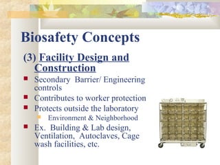 (3) Facility Design and
Construction
 Secondary Barrier/ Engineering
controls
 Contributes to worker protection
 Protects outside the laboratory
 Environment & Neighborhood
 Ex. Building & Lab design,
Ventilation, Autoclaves, Cage
wash facilities, etc.
Biosafety Concepts
 