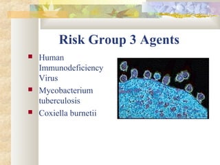 Risk Group 3 Agents
 Human
Immunodeficiency
Virus
 Mycobacterium
tuberculosis
 Coxiella burnetii
 