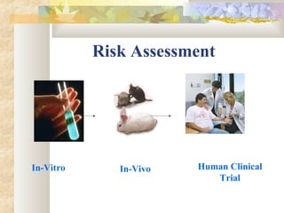 Risk Assessment
In-Vitro In-Vivo Human Clinical
Trial
 