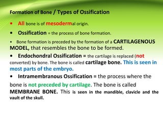 Sification Process formations of tissues in body | PPT