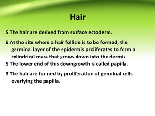formations of tissues in body | PPT